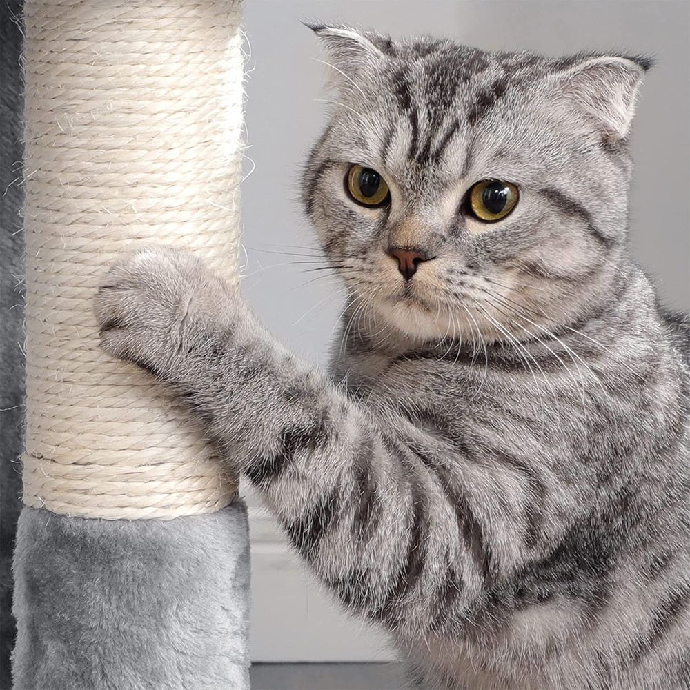 Kattenkrabpaal met Hangmat en Uitzichtplatforms – Comfortabele en Stabiele Krabtoren voor 1 tot 2 Katten - Image 12