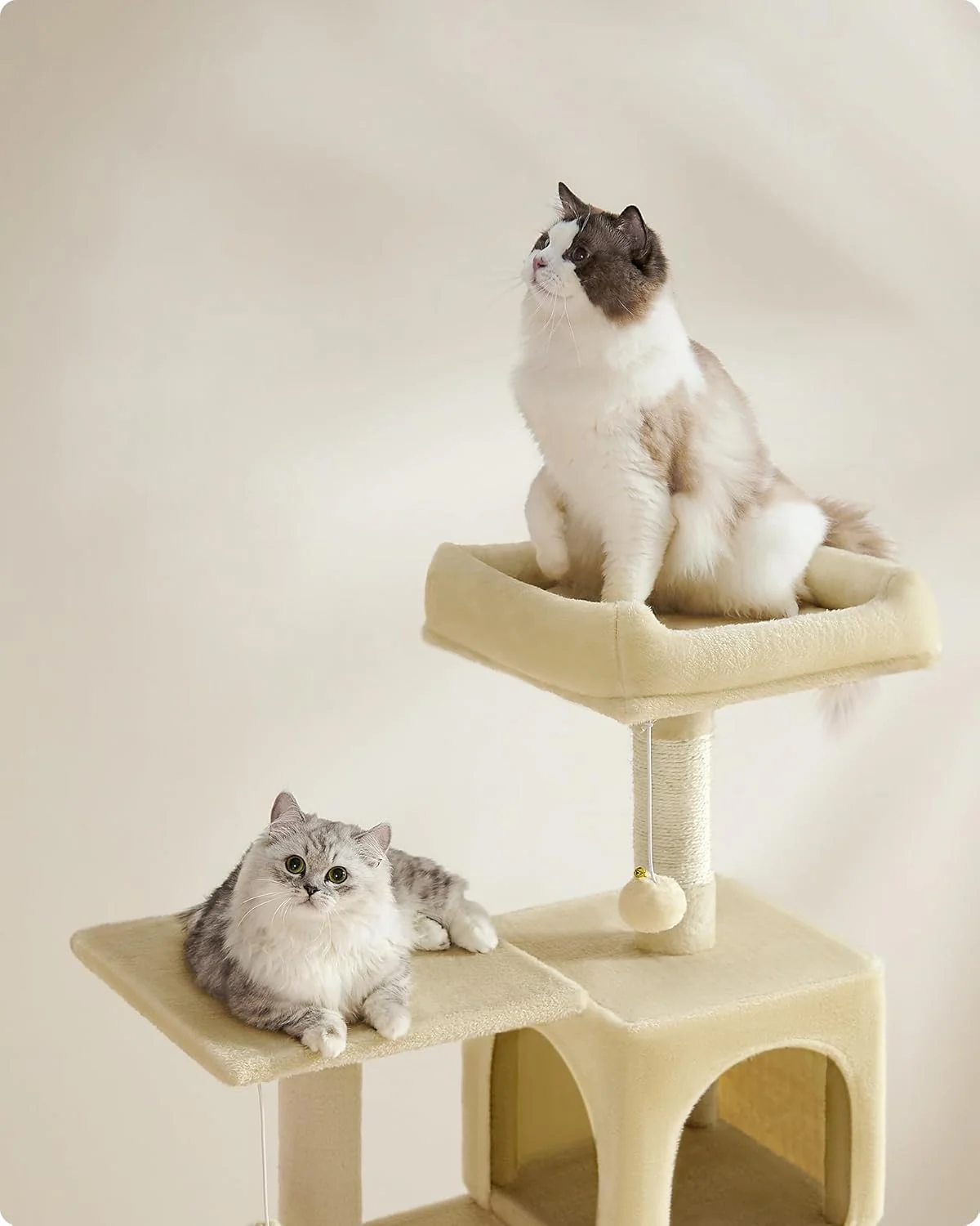 Krabpaal voor Katten – Met Hangmat, Knuffelgrot en Speelballetje – 143 cm Hoog – Voor 1-4 Katten - Image 6