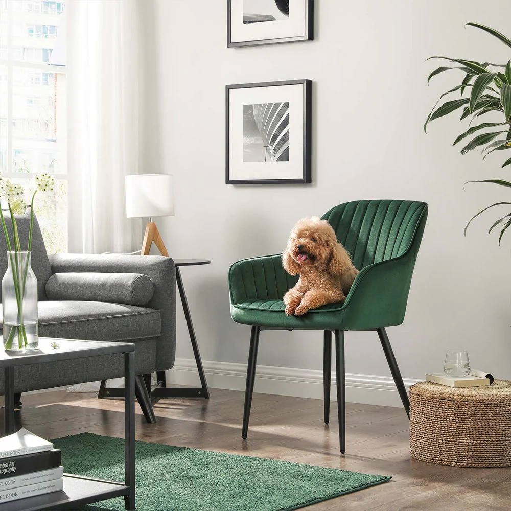 Luxe Eetkamerstoelen met Armleuning - Hoge Kwaliteit - Image 3